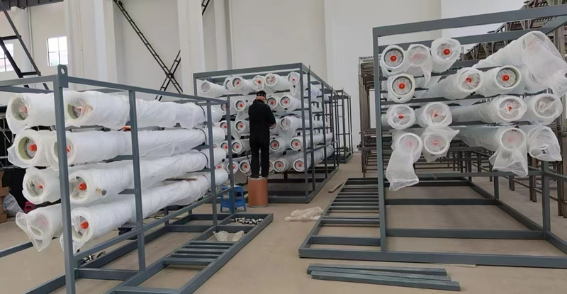 ��ʽ����Ĥ